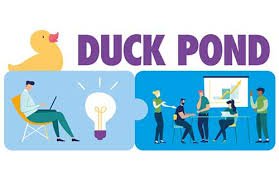 duck pond